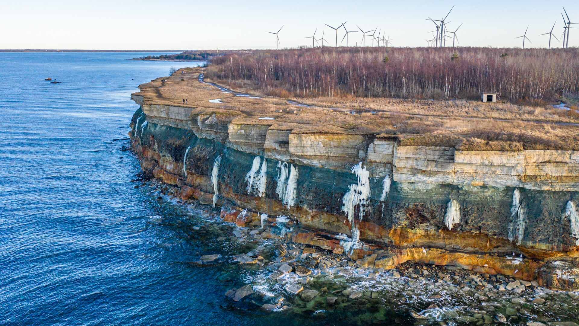 Pakri poolsaare pankrannik