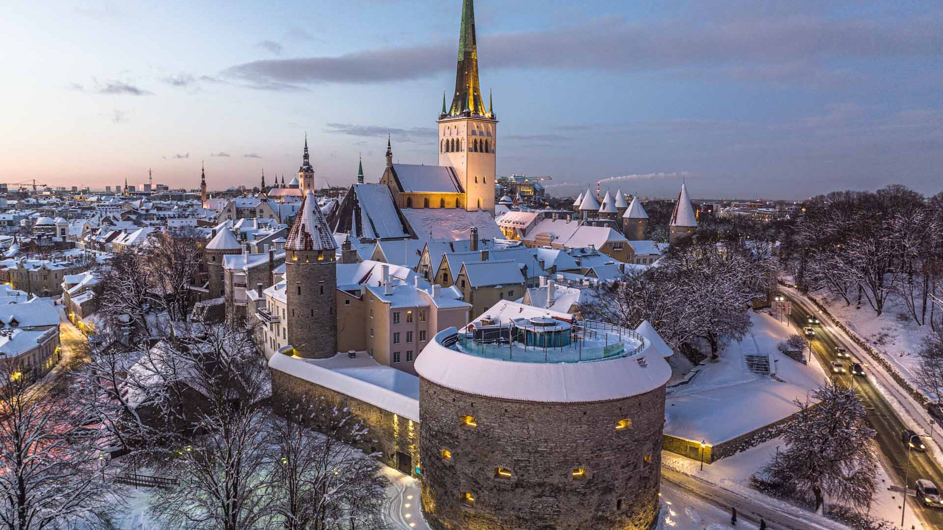 Paks margareta portree
