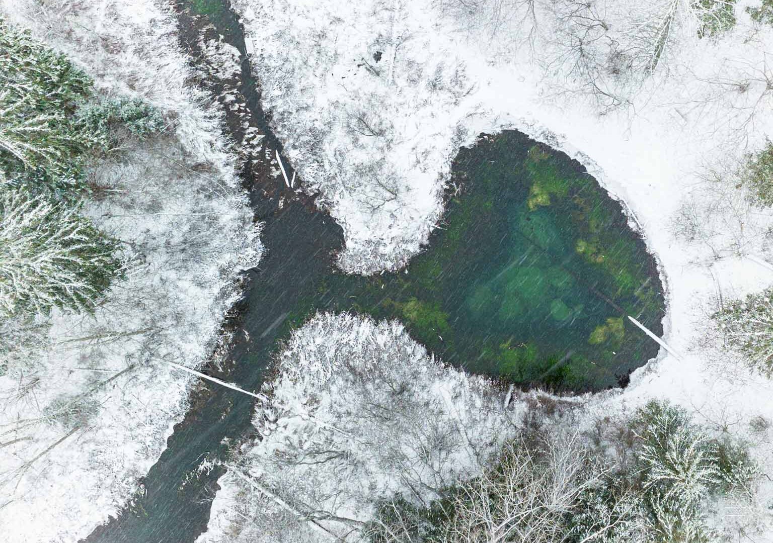 Saula Siniallikad